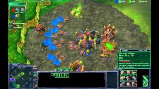 Epic Roach Rush - 7RR owns Terran (HD Quality with build order)