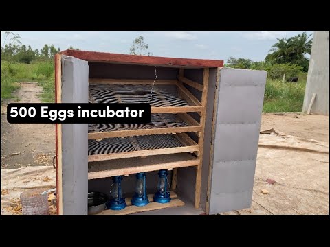 How I made 500 Eggs Home Made Incubator Using Locally available materials?