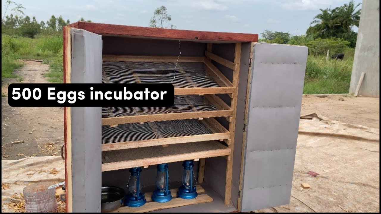 Как я сделал самодельный инкубатор на 500 яиц, используя подручные материалы?