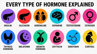 Every Type Of Hormone Explained 
