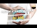 Prsentation du mridien du foie et localisation des points