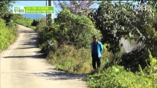 생방송 투데이 131015 #11(8)