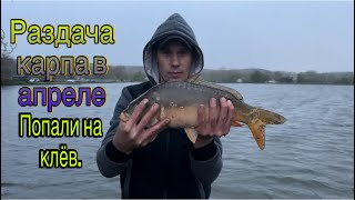 Раздача карпа в апреле, попали на клёв. Третий пруд Нижнеподкумск. Рыбалка Ставропольский край.