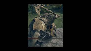 bully Tree Sentinel early start of the game #eldenring