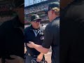POV: Celebrating on the Field After a Walk-Off Win #Baseball #Celebration