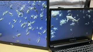 Portalgraph Free Demoshark Aquarium