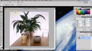 Lasso Selection Tools - Photoshop Beginners Tutorial 02.3