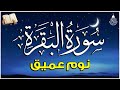 سورة البقرة طاردة الشياطين بصوت هادئ ومريح جدا جدا تلاوة هادئة للنوم والراحة النفسية سورة البقرة طاردة الشياطين بصوت هادئ ومريح جدا جدا تلاوة هادئة للنوم والراحة النفسية