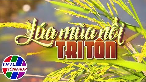 Nhịp sống đồng bằng: Lúa mùa nổi Tri Tôn