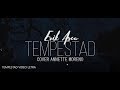 Erik Asca - Tempestad Cover Annette Moreno (Video Letra)