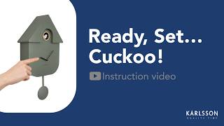 Modern Cuckoo Clock | Setup & Hard Reset Guide