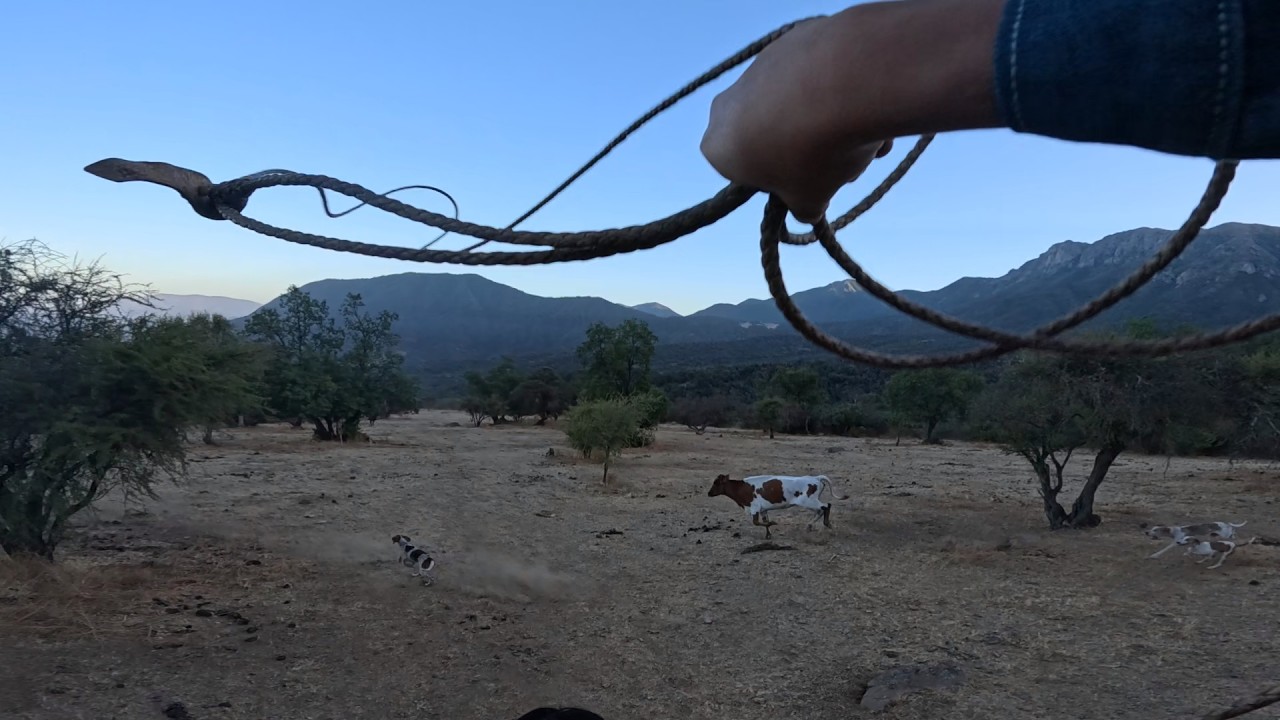 Laceadores de cerro #63