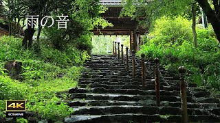 4K + 自然環境音【復活版】誰もいない境内に雨の音だけが聴こえる