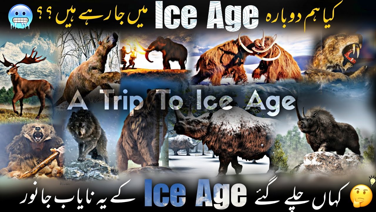 Facts And Realities Of Ice Age Period / A Trip To Ice Age | Urdu/Hindi
