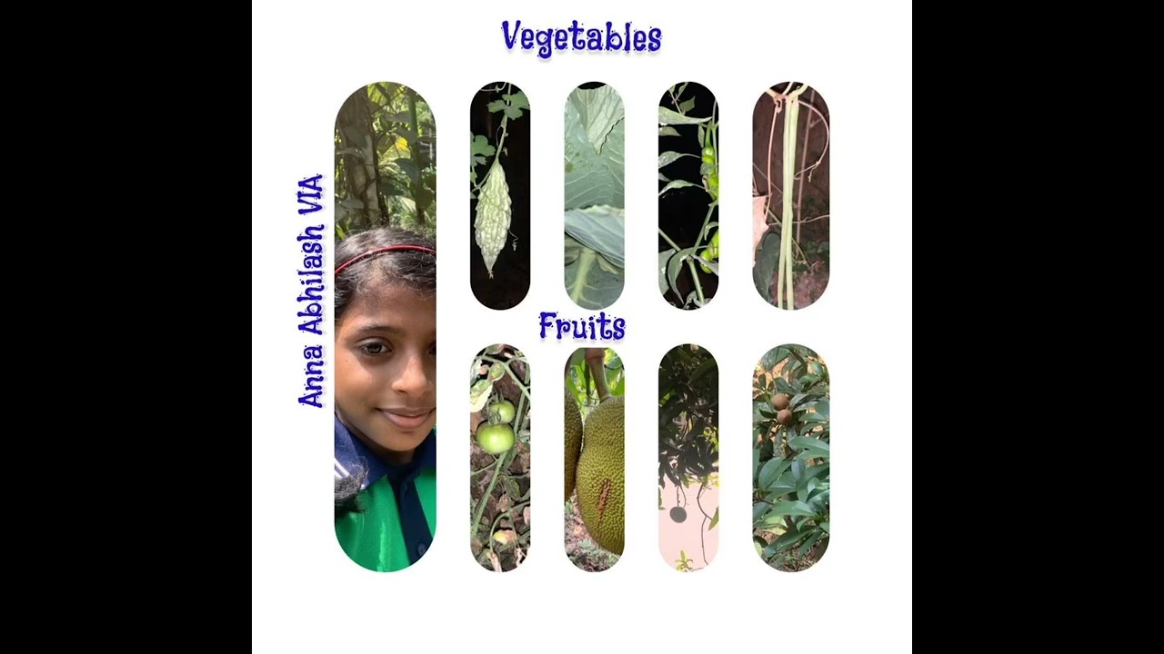 KV CRPF PGM : 100 Days Reading Campaign Week 10- On the quest of Local Flora