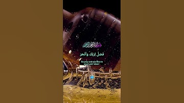 #سورة_الكوثر #اكسبلور #المصحف