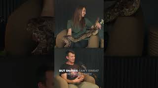 Wait Why Do Snakes Look Wet 