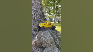 Element enduro ecto rc crawler quick tree work #rccar #rccrawler #elementrc #offroad #shorts #asmr