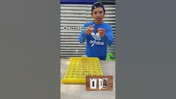 no need timer/automatic egg incubator