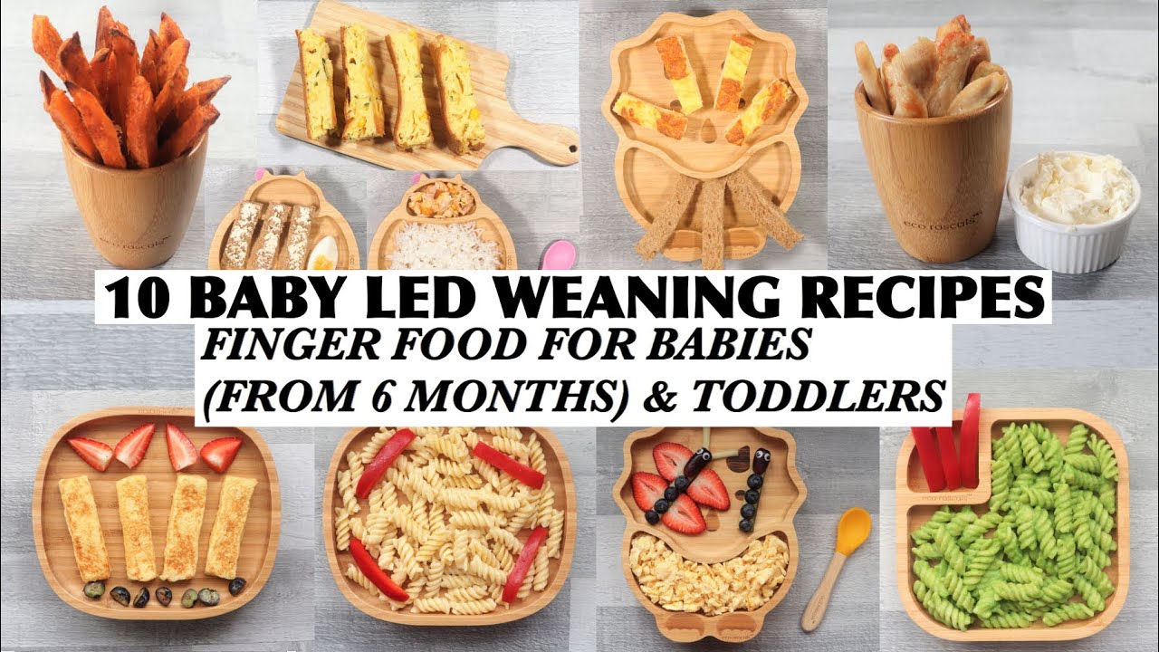 10 BABY LED WEANING RECIPES | FINGER FOOD FOR BABIES FROM 6 MONTHS TODDLERS | BLW 6 MONTHS RECIPES - YouTube