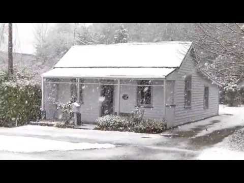 Foxglove cottage snow
