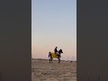 وانت والله حبيبي محمد عبده