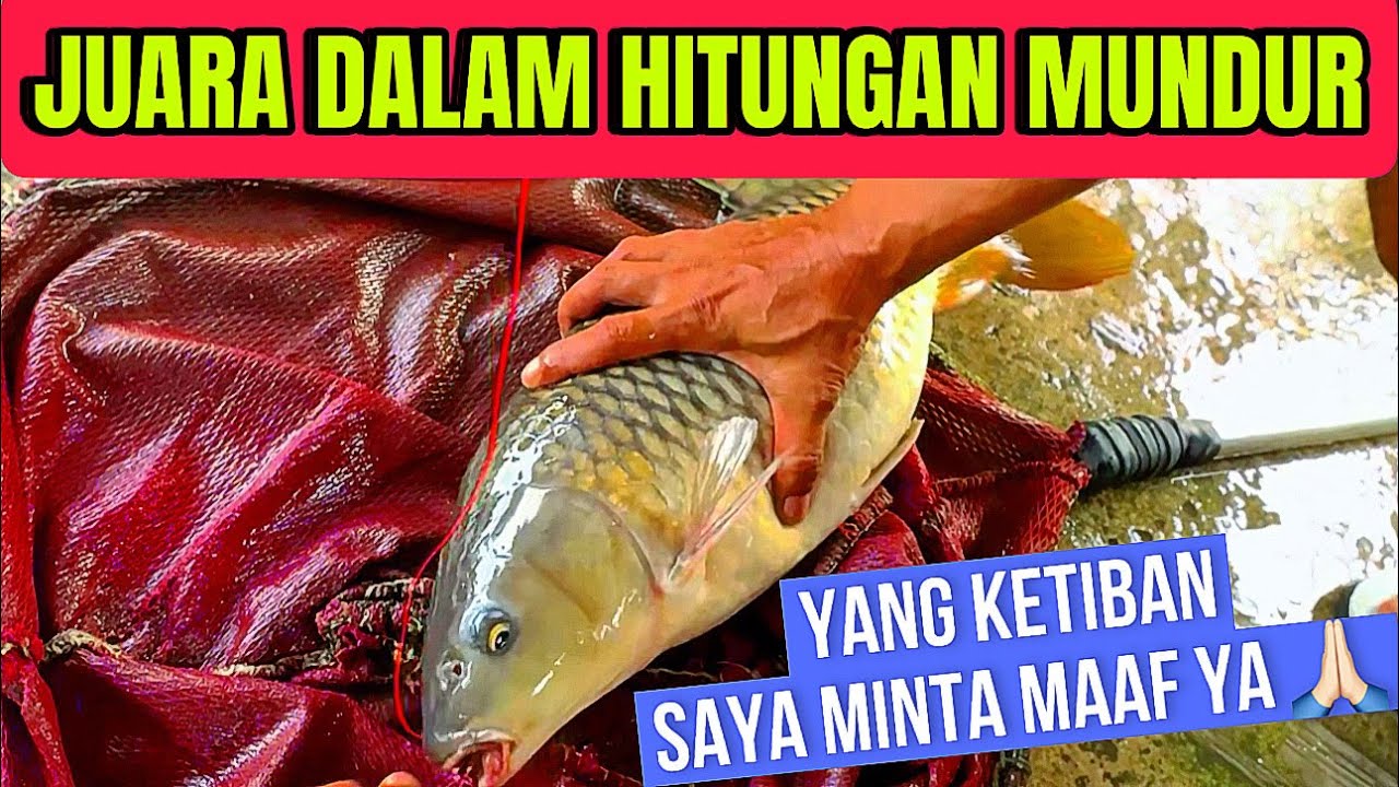 SATU MENIT WAKTU TERSIKSA AUTO JUARA