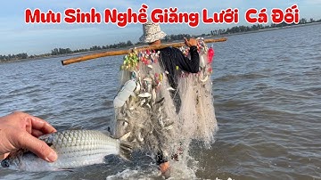 Ngư dân biển cần giờ trúng mẻ cá đối - một nghề mưu sinh nuôi sống cả gia đình