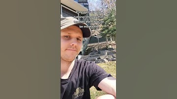 "Do Nothing" Impulse Control Dog Training Tip For High Prey Drive & Reactive Dogs #dogtraining #dog