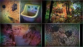Faces Found: Pareidolia Fantasia (4-Square Version #2)