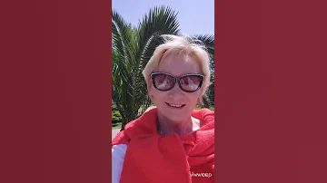 Чем финиковая пальма отличается от пальмы вашингтон?