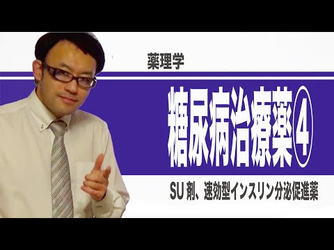 糖尿病治療薬④（SU薬、速効型インスリン分泌促進薬）