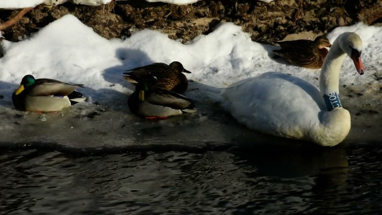 Не Хлебом единым