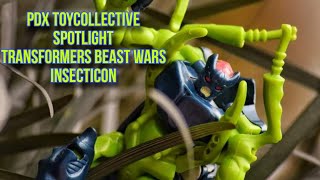 Predacon Was Almost Famous | Transformers Beast Wars Insecticon Spotlight