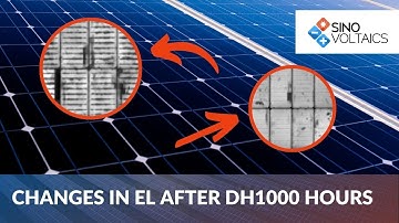 Changes in EL Images of TOPCon Modules After DH1000 Testing