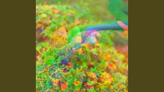 Modish Music for Late Thoughts