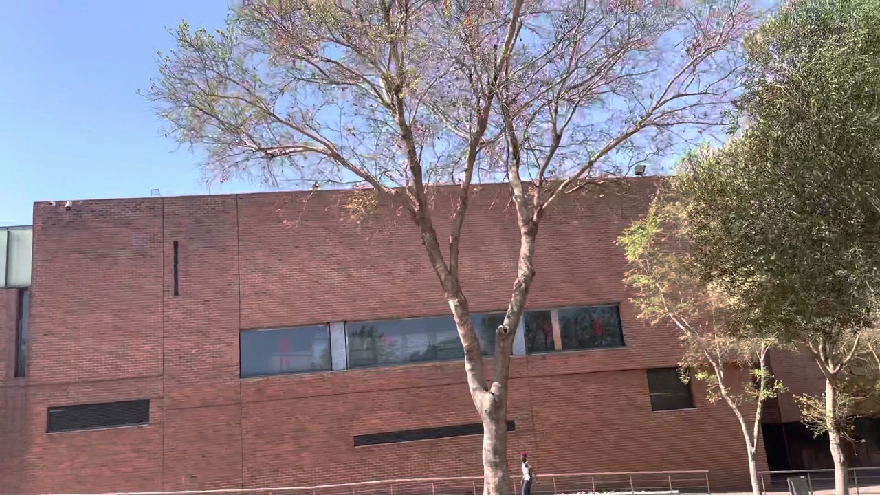 Things to do in Hector Petersen Museum Soweto , South Africa 🇿🇦🇿🇦🇿🇦