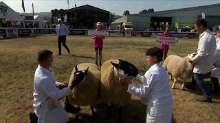 Pencampwriaeth Parau'r Defaid | Interbreed Sheep Pairs Championship