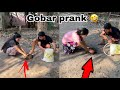 Gobar prank on family   funny reaction  ginni pandey pranks
