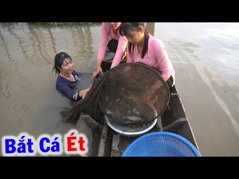 Video Dở Dớn Ngoài Sông Cái bắt được Cá Ét mang về Cuộn Cải... - youtube