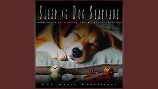Relaxing Lullabies for Doggy Dreams