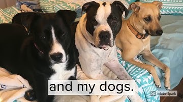 Adobe Spark Video: About Me