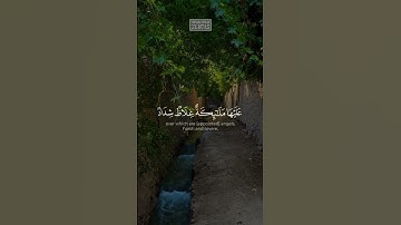 {یَـٰۤأَیُّهَا ٱلَّذِینَ ءَامَنُوا۟ قُوۤا۟ أَنفُسَكُمۡ} | محمد صديق المنشاوي | سورة التحريم.