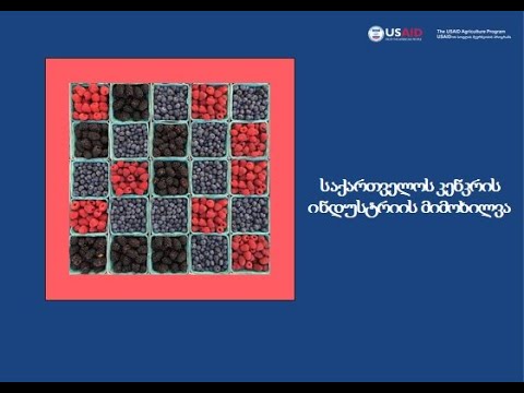 შოთა ცუკოშვილი     კენკრის ინდუსტრიის მიმოხილვა