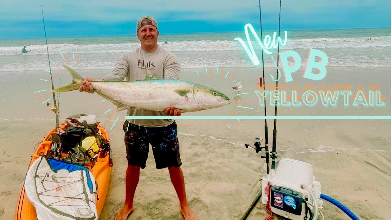 Sight Fishing Massive California yellowtail!! (Kayak Fishing La Jolla