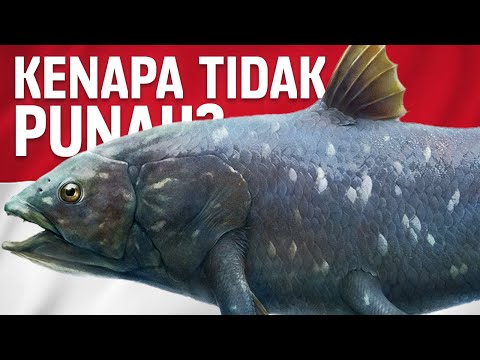 Mengapa Ikan Purba Ini Bisa Selamat Dari Kepunahan? | #BelajarDuniaPurba