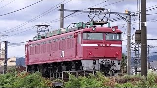EF81 151 単機回送