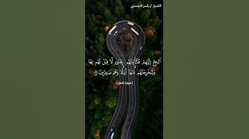 سورة النمل من  آية 37 إلى آية 39 بصوت الشيخ ياسر الدوسري♥♥