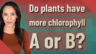 Do plants have more chlorophyll A or B?