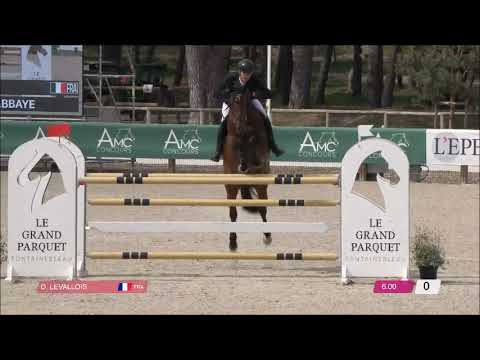 ARTISTE DE L'ABBAYE 3° GP145 CSIYR Fontainebleau 2022